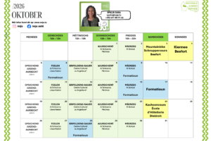 Nordstadjugend : programme d'octobre
