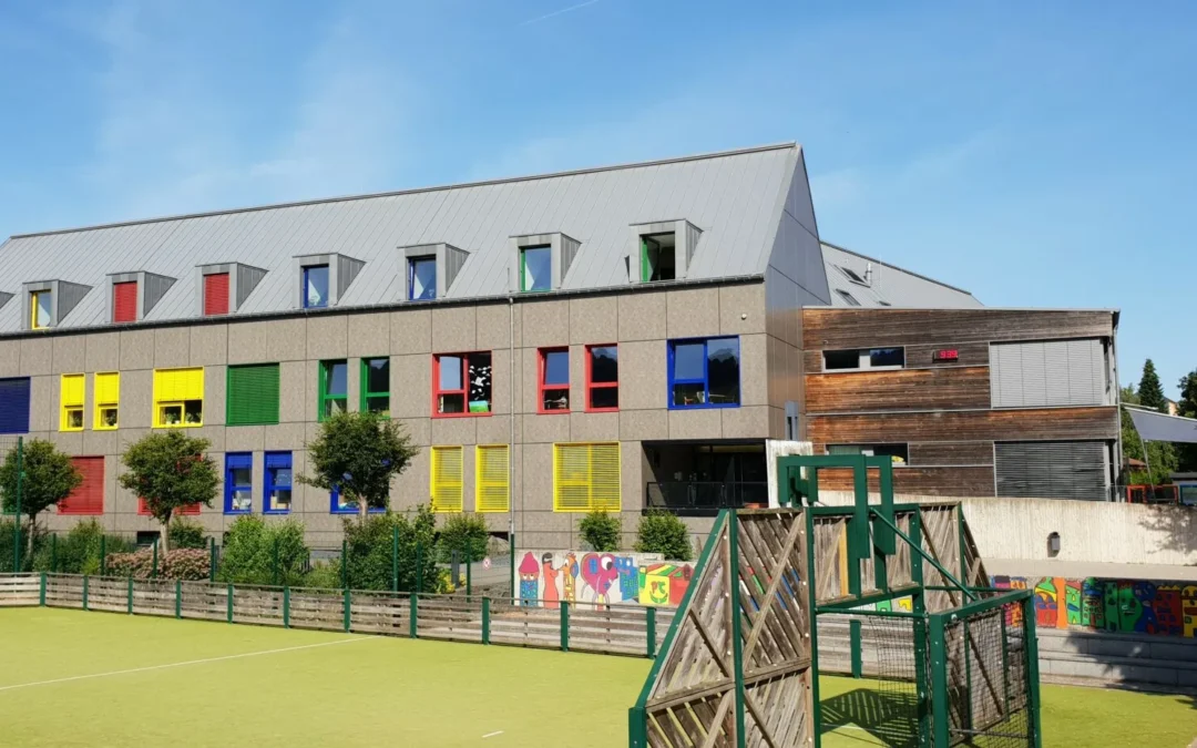 Dispense de fréquentation scolaire