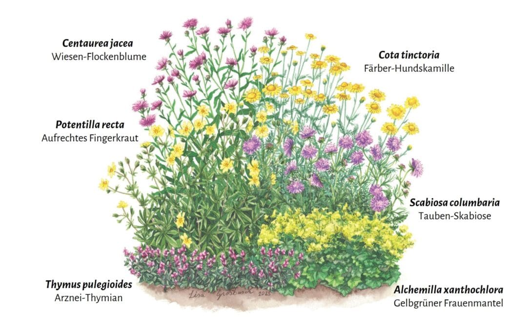 Aktioun Päiperlek 2026