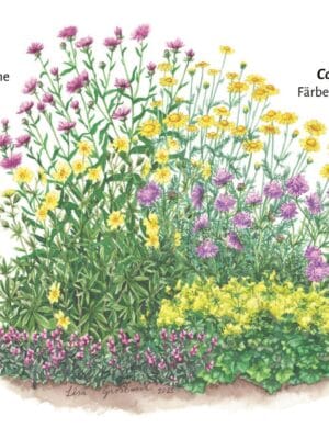 Aktioun Päiperlek 2026