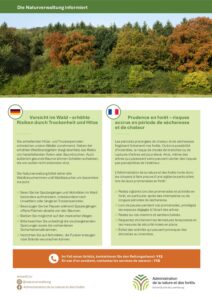 Prudence en forêt !