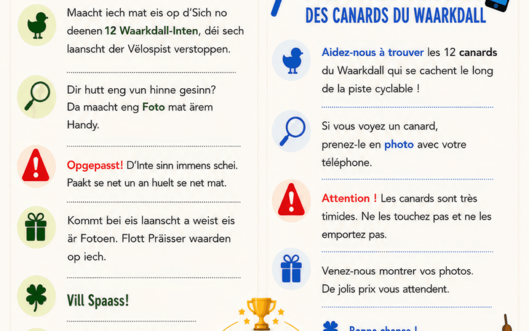 Les 12 canards du Waarkdall