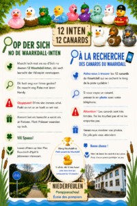 Les 12 canards du Waarkdall