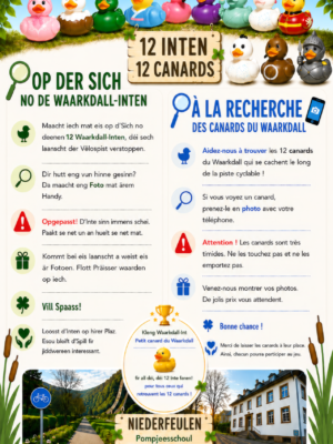 Les 12 canards du Waarkdall