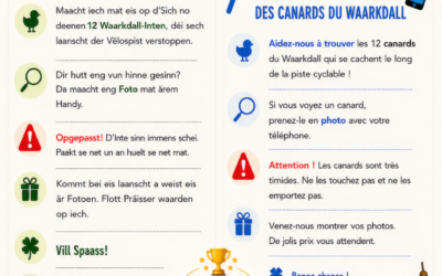 Les 12 canards du Waarkdall