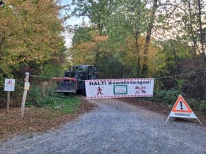 Travaux forestiers en cours