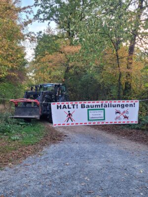 Travaux forestiers en cours