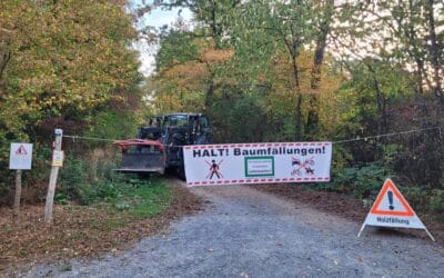 Travaux forestiers en cours